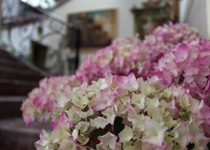 陶尔米纳别墅酒店 4* 陶尔米纳