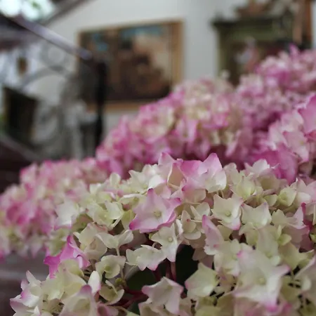 Hotel Villa Taormina 4* Taormina